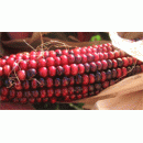 Kukurydza czerwona - 5 kg