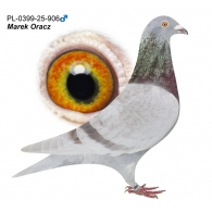 PL-0399-25-906 - oryg. Marek Oracz (100% Ireneusz Kowalczyk)