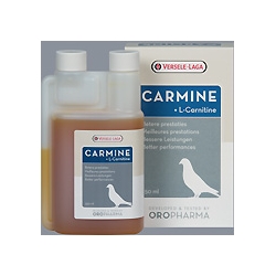 Carmine 250 ml