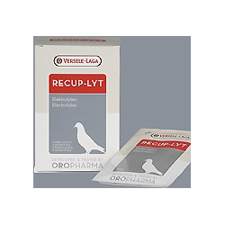 Recuplyt elektrolity i glukoza 240g