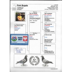 PL-0153-21-7018 - Wnuk 