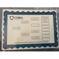 PL-0424-23-6695 - Porsche Mustang x Porsche Dakar - CERTYFIKAT DNA!!!!