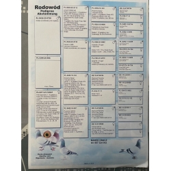 PL-0399-25-906 - oryg. Marek Oracz (100% Ireneusz Kowalczyk)