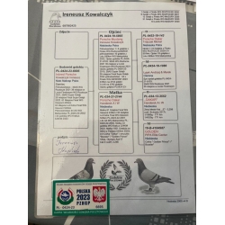 PL-0424-23-6695 - Porsche Mustang x Porsche Dakar - CERTYFIKAT DNA!!!!